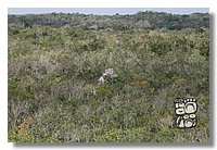 coba_023.jpg