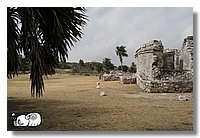 Tulum0002.JPG