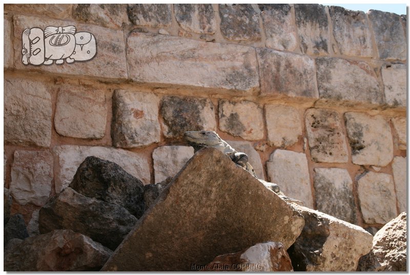 uxmal006.jpg